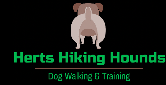 herts hiking hounds dog walking and training abbots langley hertfordshire