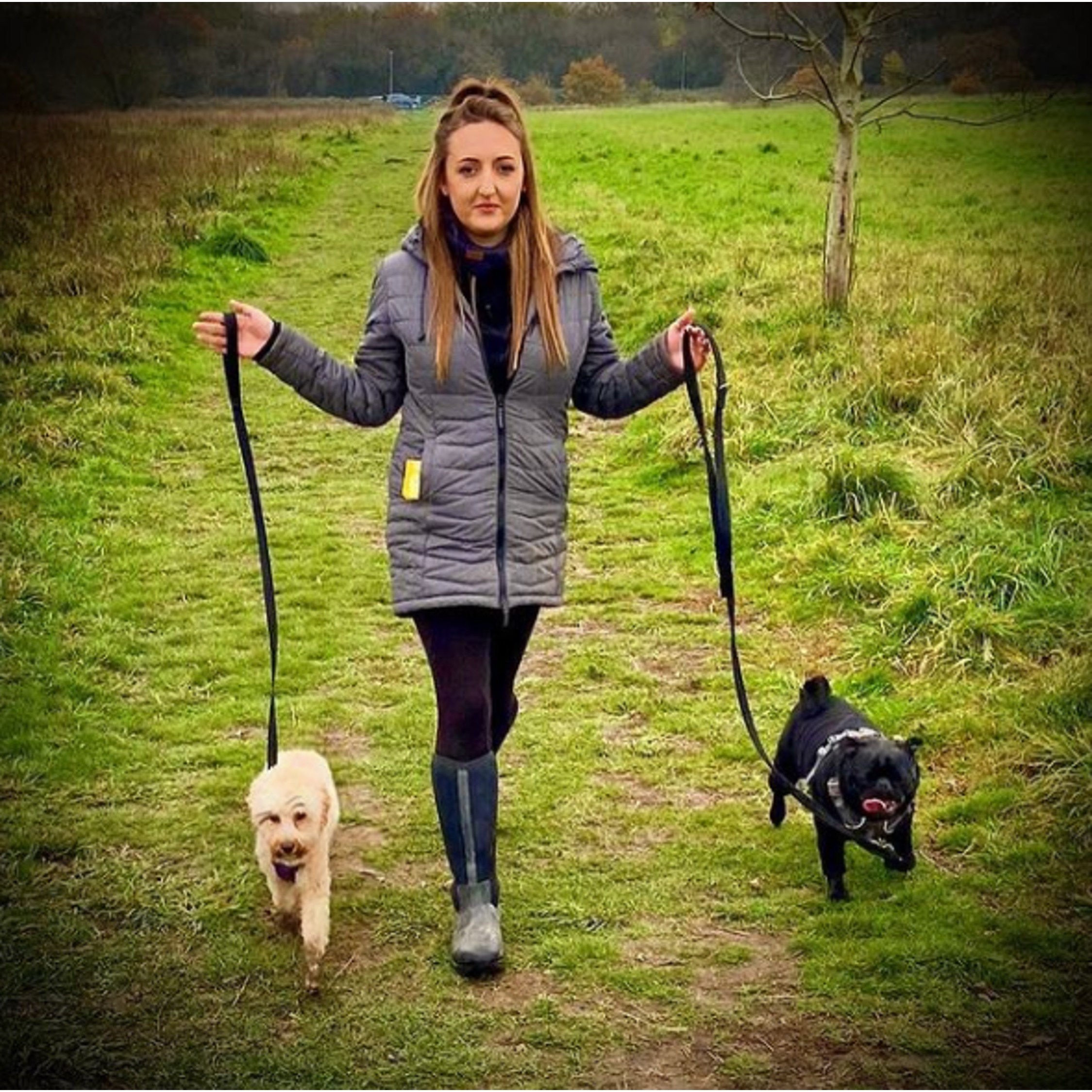 herts hiking hounds dog walking walker and training abbots kings langley hertfordshire pet photography29