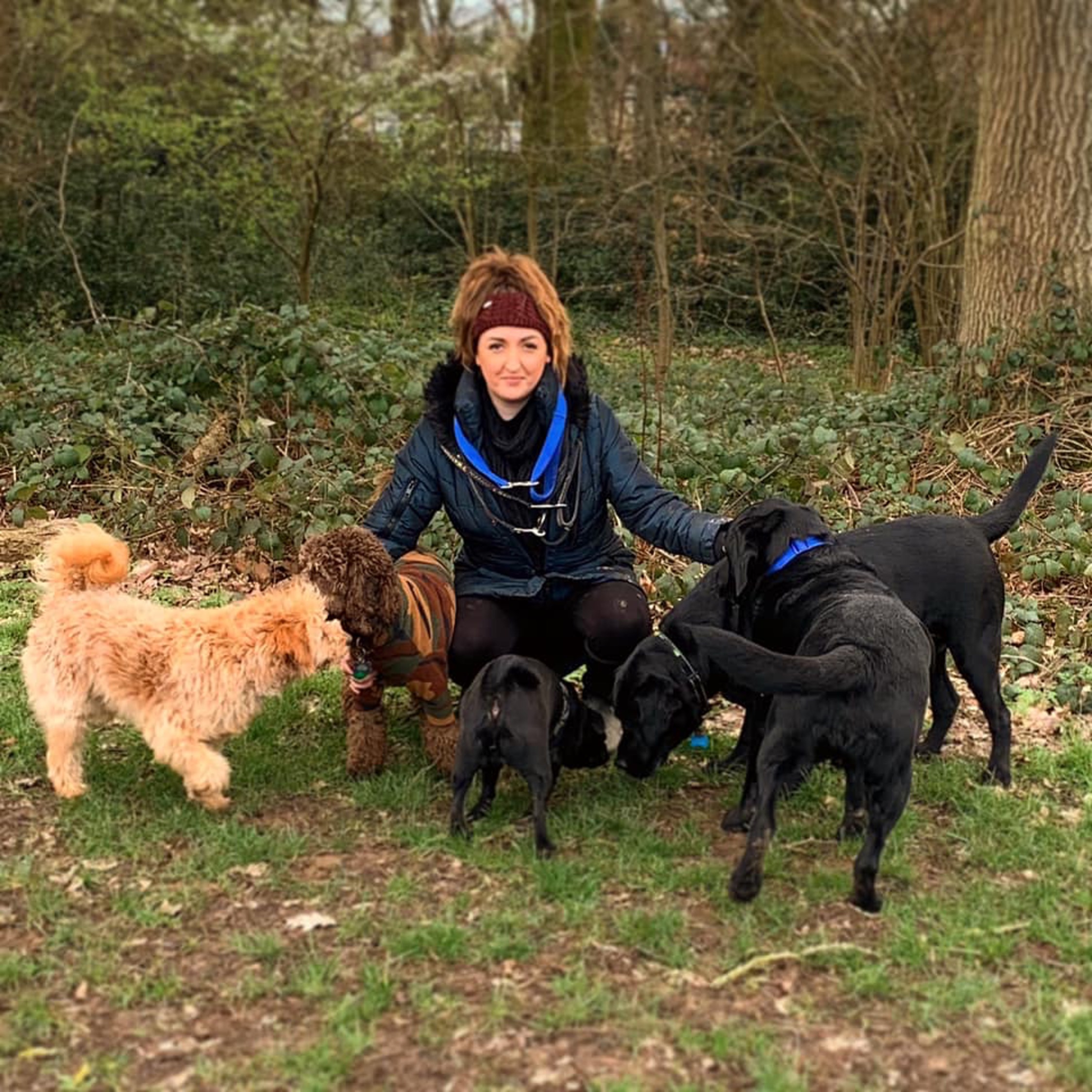 herts hiking hounds dog walking walker and training abbots kings langley hertfordshire pet photography3